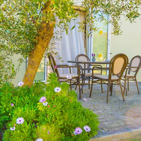 Palatino ליקסורי